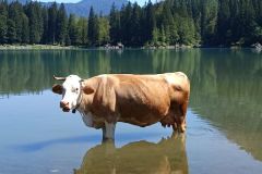 Monte-Lussari-e-Laghi-di-Fusine-un-pochino-di-refrigerio-in-questa-calda-estate
