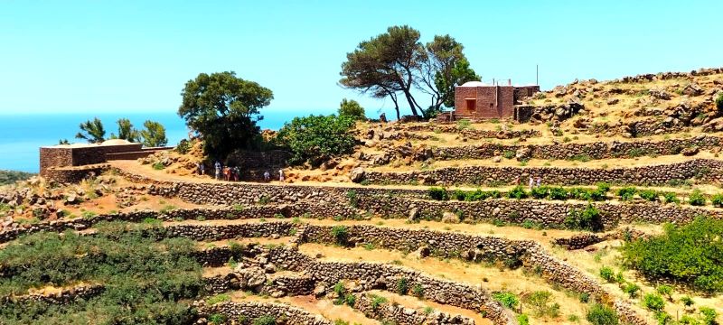Pantelleria-2026-Cappereto-a-terrazze