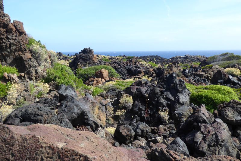 Pantelleria-2026-Rocce-vulcaniche-in-zona-Punta-Spadillo