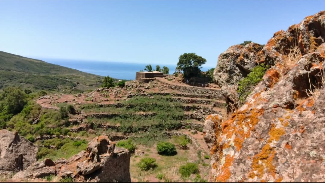 Pantelleria-2026-Terrazzamenti-2