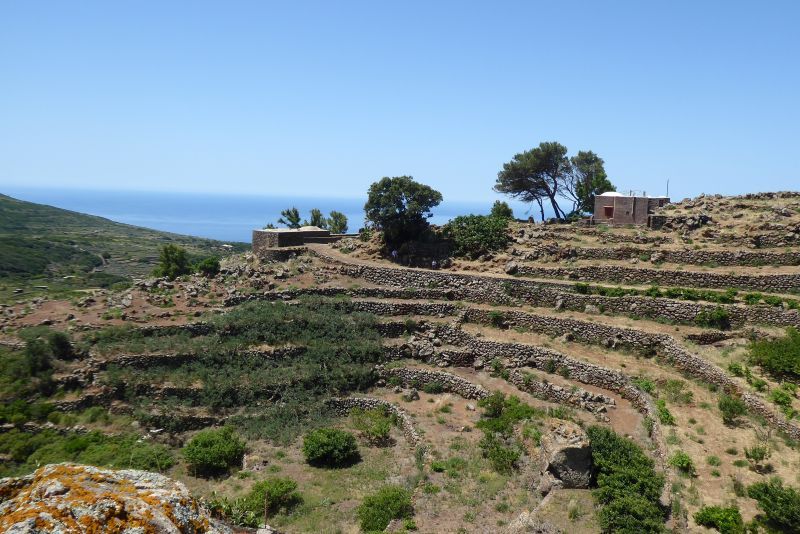Pantelleria-2026-Terrazzamenti