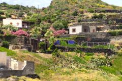 Pantelleria-2026-11