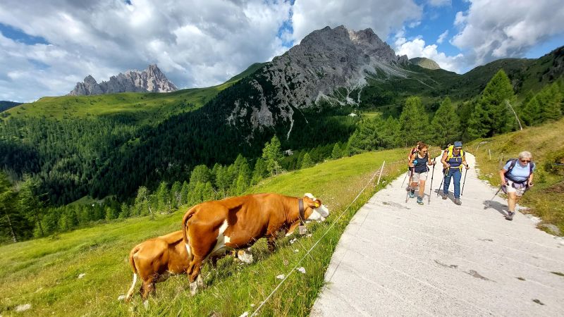 Giro-delle-Malghe-ufficiale-1