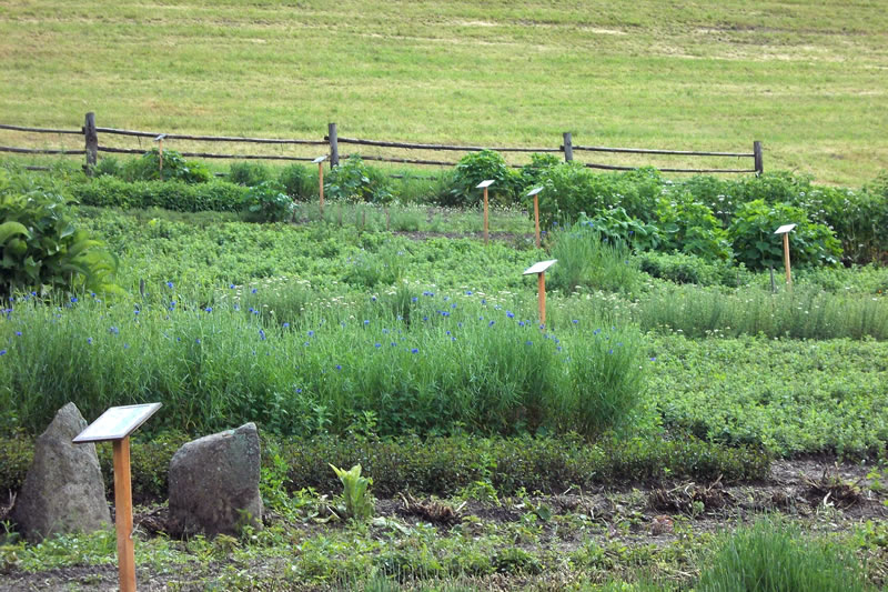 26 giugno 2016 - Maso delle erbe
