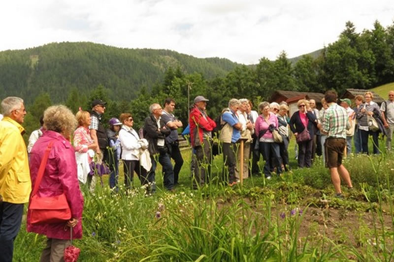 26 giugno 2016 - Maso delle erbe