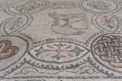 2 aprile 2022 - Aquileia e Grado