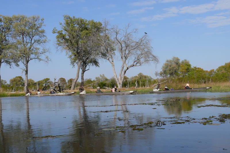 7-17 agosto 2016 - Botswana e Cascate Vittoria