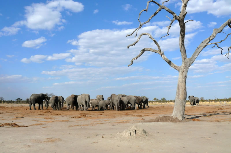 7-17 agosto 2016 - Botswana e Cascate Vittoria
