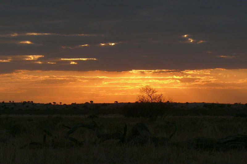 7-17 agosto 2016 - Botswana e Cascate Vittoria