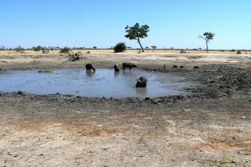 7-17 agosto 2016 - Botswana e Cascate Vittoria