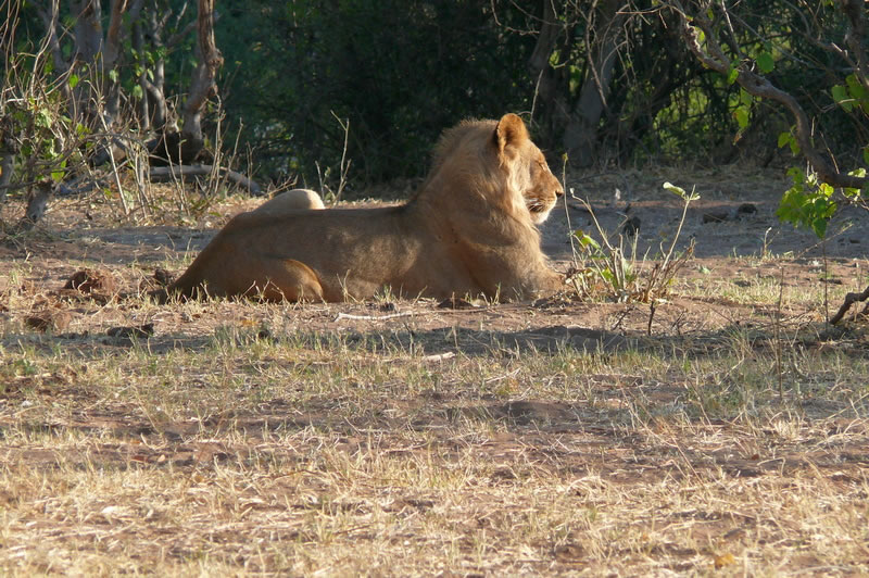7-17 agosto 2016 - Botswana e Cascate Vittoria
