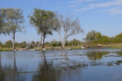 7-17 agosto 2016 - Botswana e Cascate Vittoria