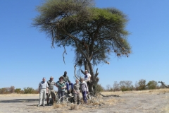 7-17 agosto 2016 - Botswana e Cascate Vittoria