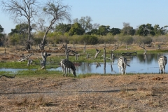 7-17 agosto 2016 - Botswana e Cascate Vittoria