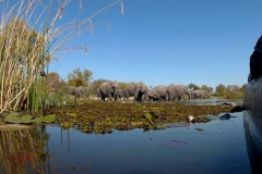 7-17 agosto 2016 - Botswana e Cascate Vittoria