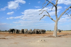 7-17 agosto 2016 - Botswana e Cascate Vittoria