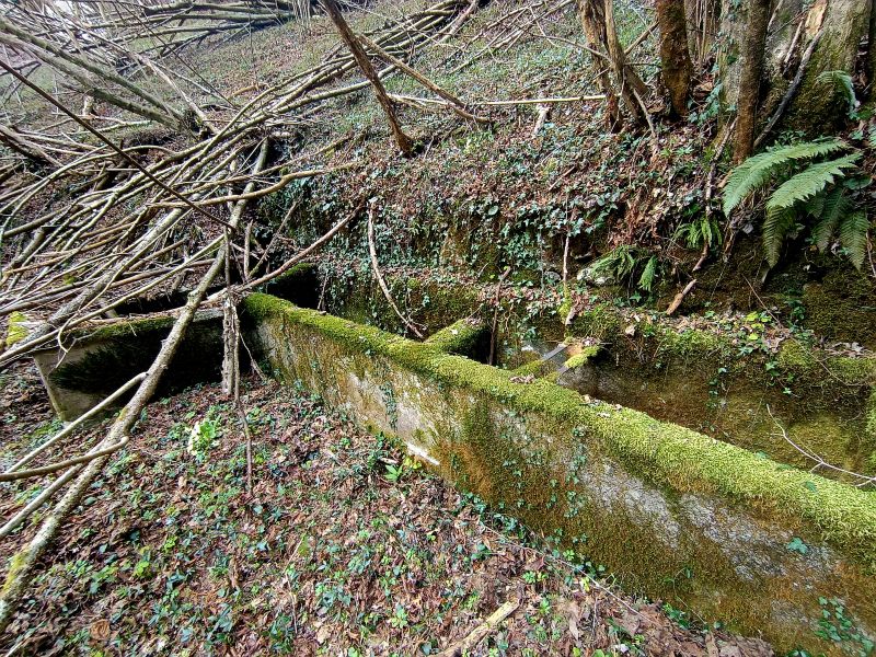Camminata-di-primavera-2026-Medil-tassei-e-Piandelmonte-5