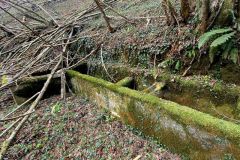 Camminata-di-primavera-2026-Medil-tassei-e-Piandelmonte-5