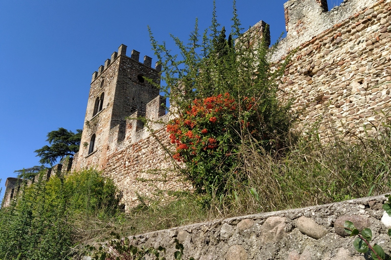 Castellaro Lagusello