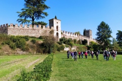 Castellaro Lagusello