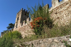 Castellaro Lagusello