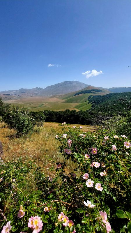 Pian-Grande-Castelluccio-di-Norcia