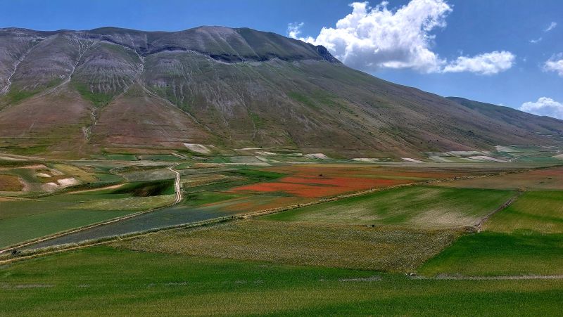 Piana-di-Castelluccio-di-Norcia-2