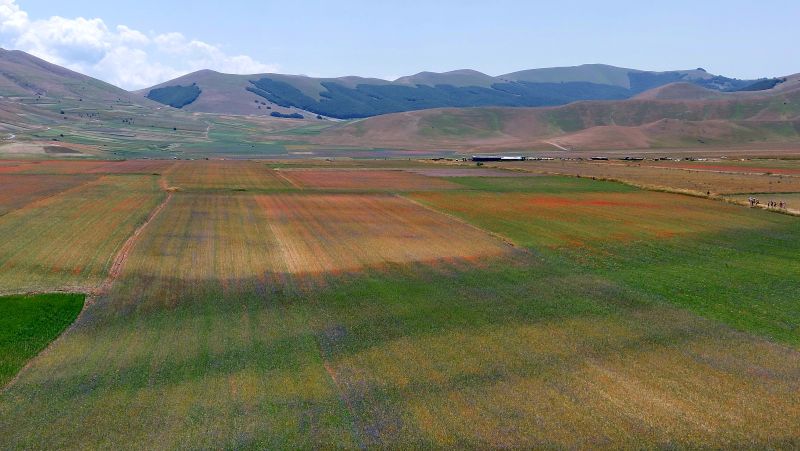 Piana-di-Castelluccio-di-Norcia-3