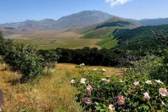 Pian-Grande-Castelluccio-di-Norcia