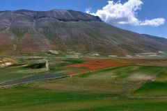 Piana-di-Castelluccio-di-Norcia-2