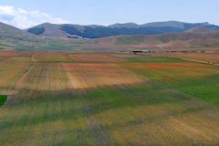 Piana-di-Castelluccio-di-Norcia-3