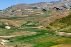 Piana-di-Castelluccio-di-Norcia