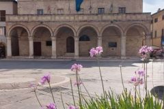 Piazza-del-Comune-Montefalco
