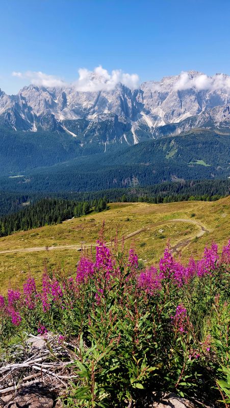 Panorama-sulle-Prealpi-Carniche-e-Dolomiti-di-Sesto