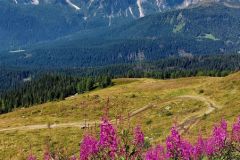 Panorama-sulle-Prealpi-Carniche-e-Dolomiti-di-Sesto