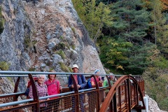 percorso-del-carbone