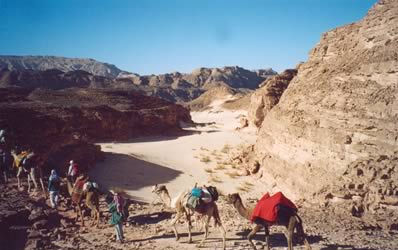 0032_M4_trek_sinai03_02