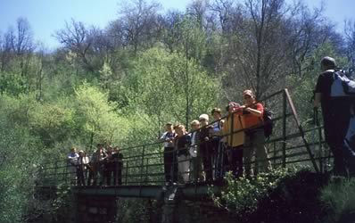 0040_M4_1trek_cilento2006