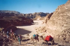 0032_M4_trek_sinai03_02