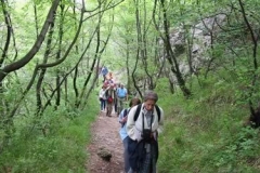 0034_M4_rosandra2004