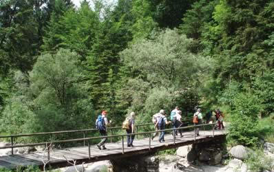 0055_M4_valcanzoi2007