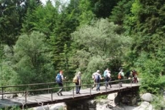 0055_M4_valcanzoi2007