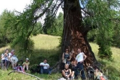0067_M4_stradadelavena08