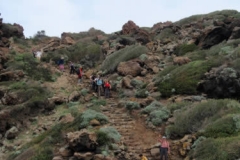 0069_M4_trkpantelleria_2