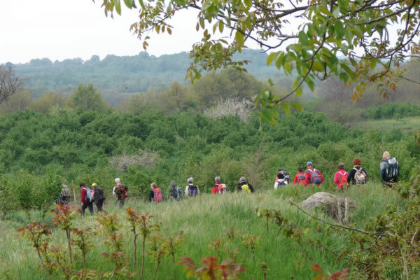 Trek sulla Via Francigena