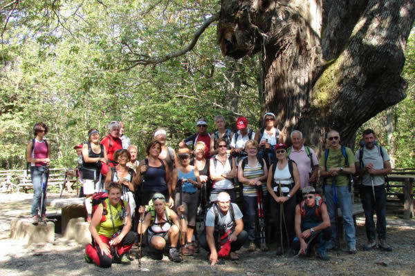 Trekking Aspromonte 2011