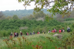 Trek sulla Via Francigena