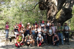 Trekking Aspromonte 2011