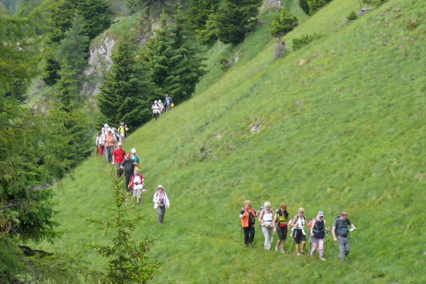Sasso Bianco 2012