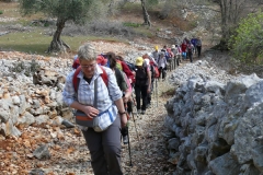 Trek Pasquale 2012